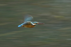 流れる様に飛翔する〜