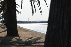 南海岸