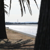 南海岸