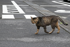 近づいてきて