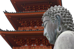 大仏様と塔