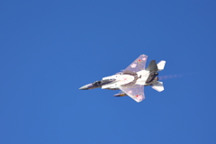 航空師団　３０６　イーグル