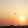 夕日を飛ぶ