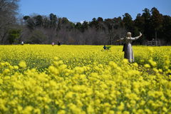 菜の花と私