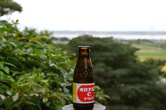 元気ハツラツ