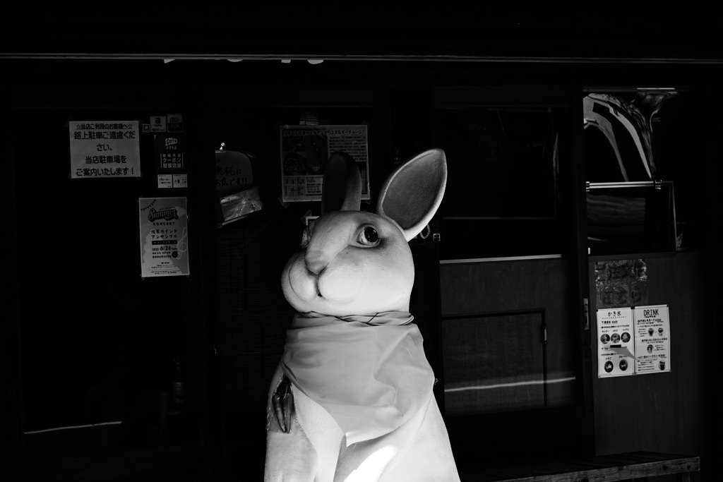 でかいウサギ