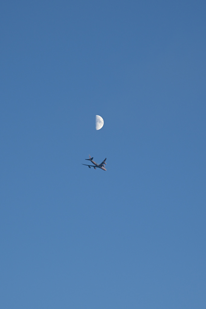 半月と飛行機