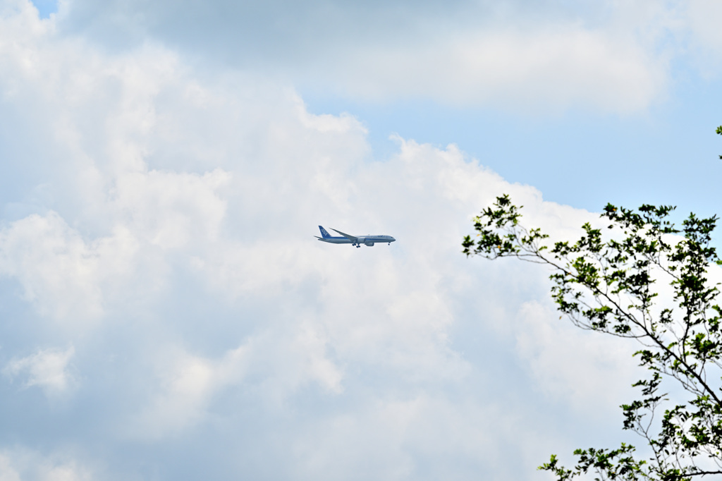 大空を抜けて