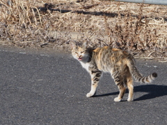 なに見てんねん