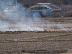 野焼き