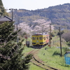 桜で待つ電車