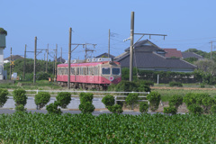 電車ときゃべつ