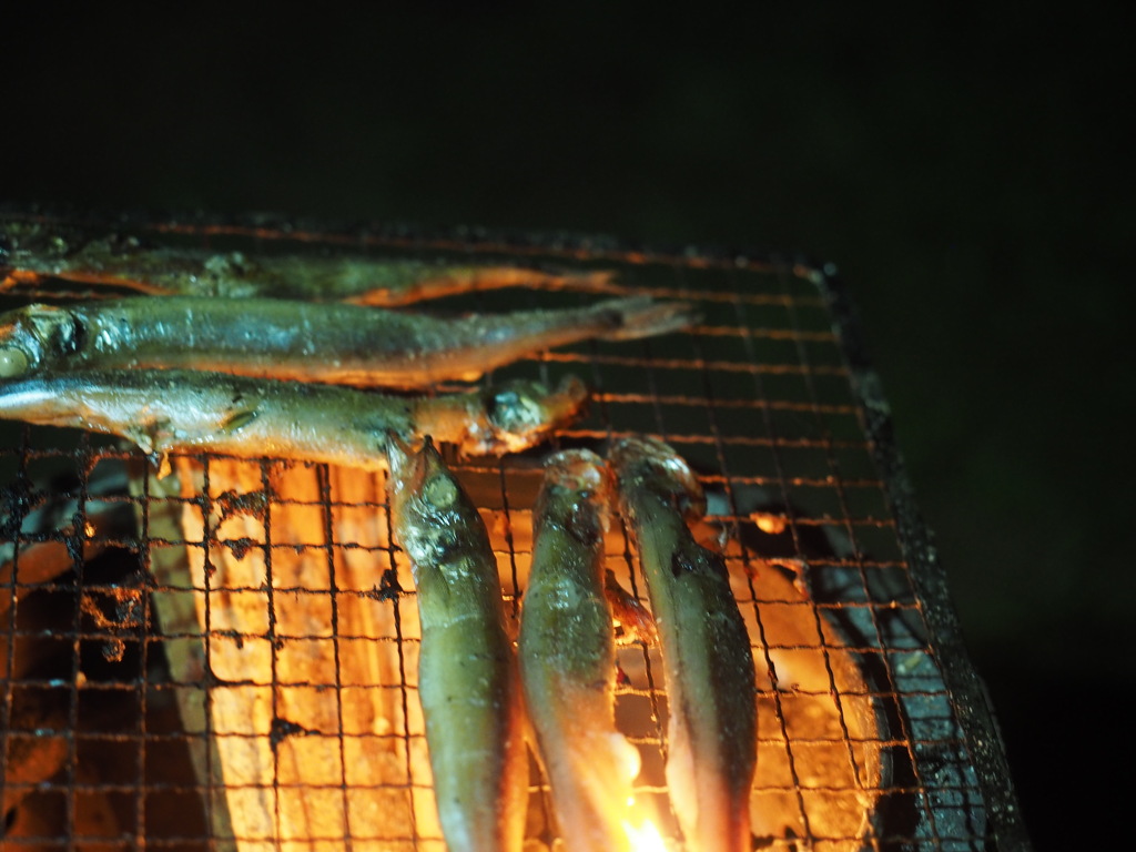 上手に焼けました