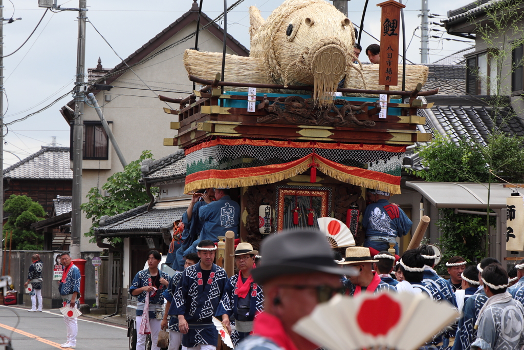 おお鯉