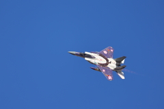 f１５　記念塗装　狗鷲