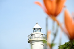 灯台と花