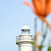 灯台と花