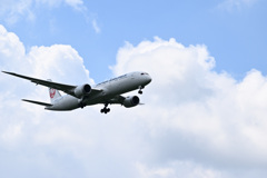 ＪＡＬ