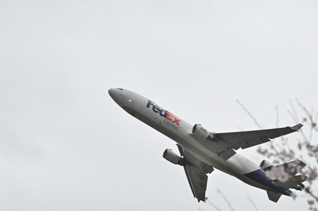 桜とFedEX