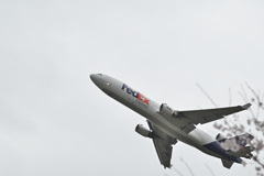 桜とFedEX