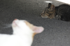 眼差し