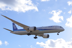 ANA
