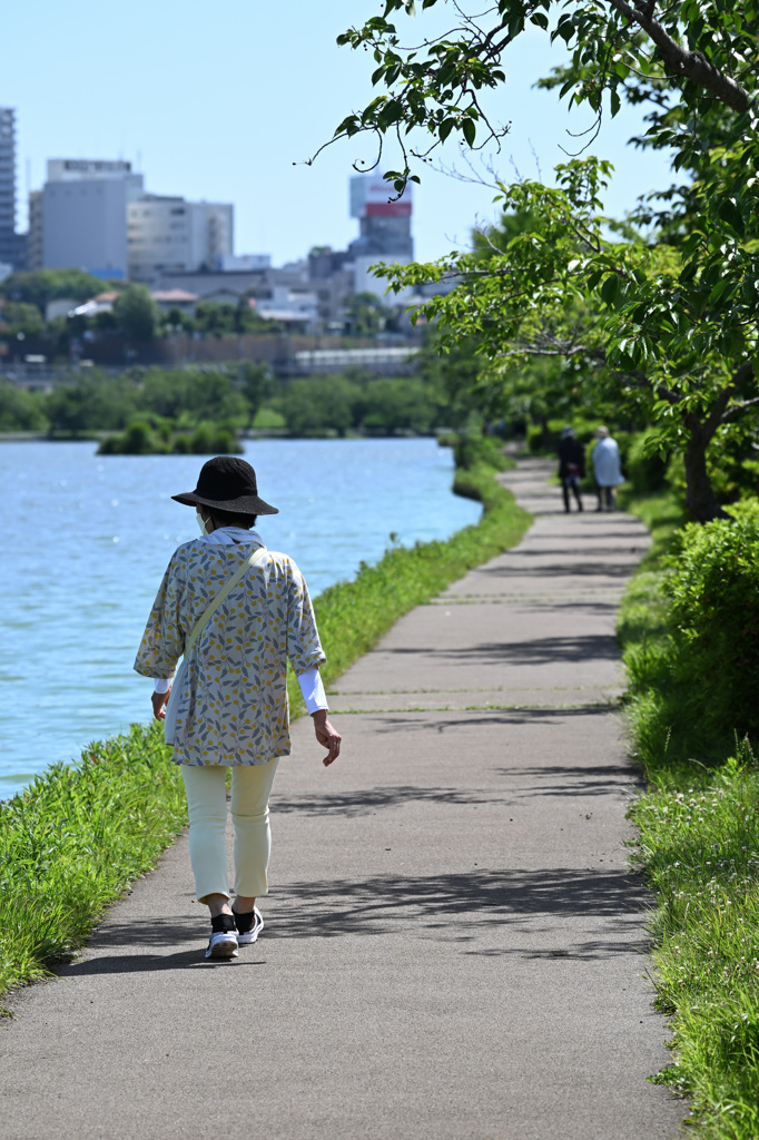 晴れた日の散歩道