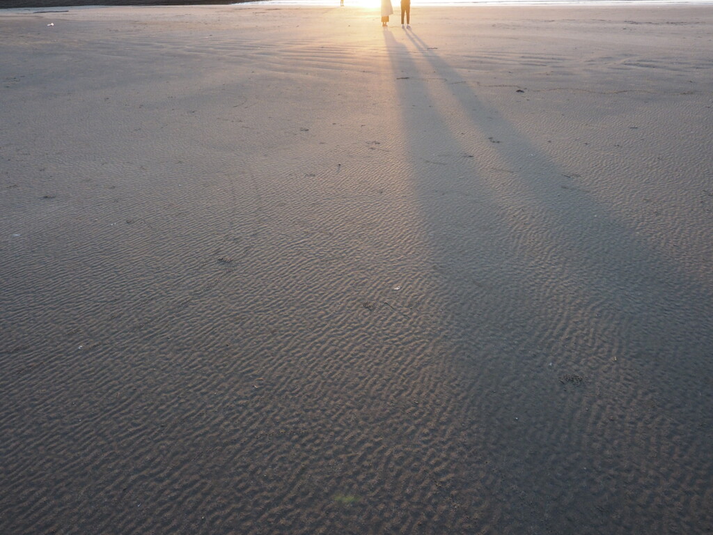 綺麗だね
