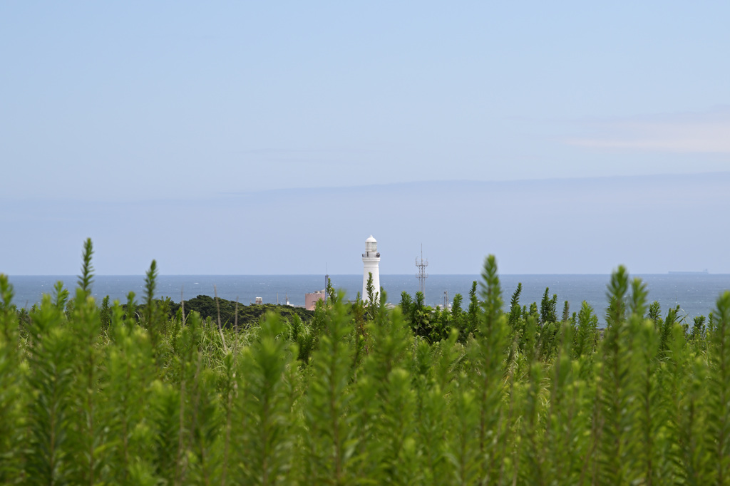 岬の灯台
