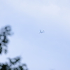 ７８７