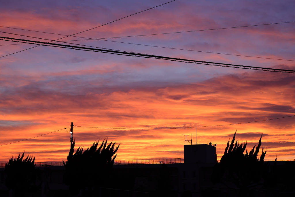 今日の夕日①