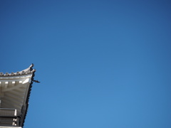 鳶と城