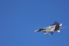f１５　特別塗装　銀龍