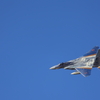 f１５　特別塗装　銀龍