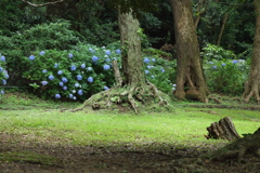 神域
