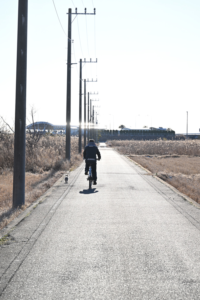 散歩道
