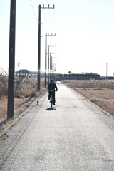 散歩道