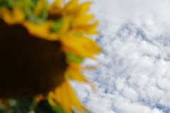 青空