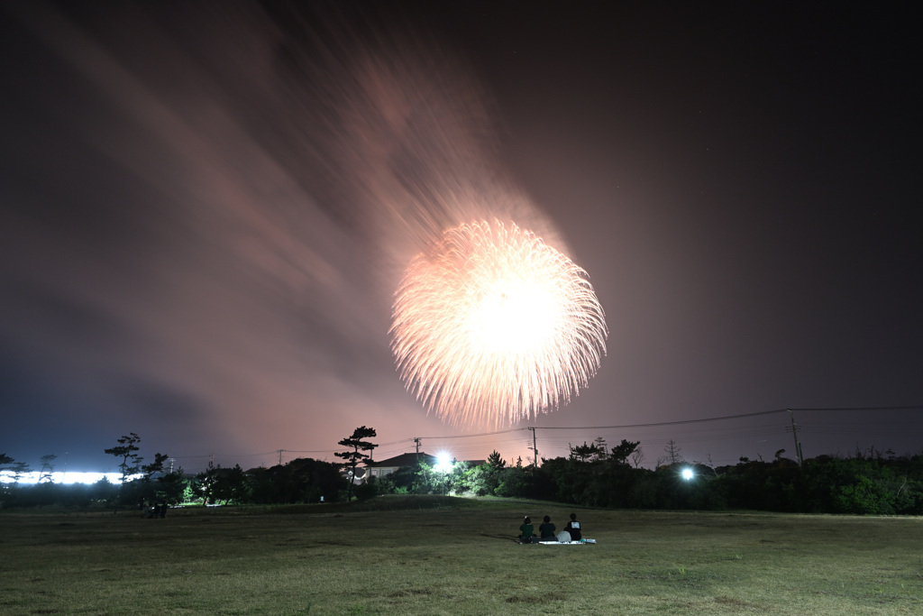 夜空のしだれ花