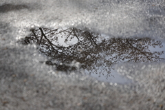 雨上がり