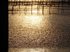 金曜ロードショウ