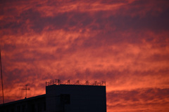 赤い空