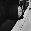 日傘