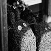 トトロだよ