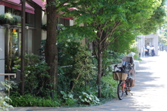 木陰