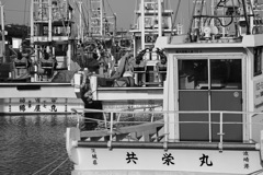 停泊中