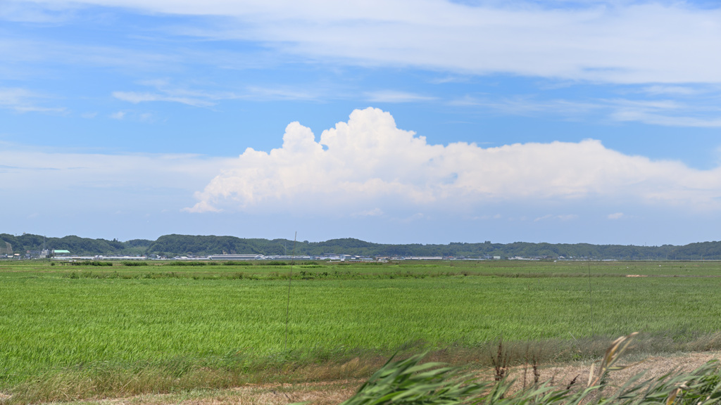 夏の雲