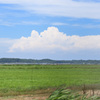 夏の雲