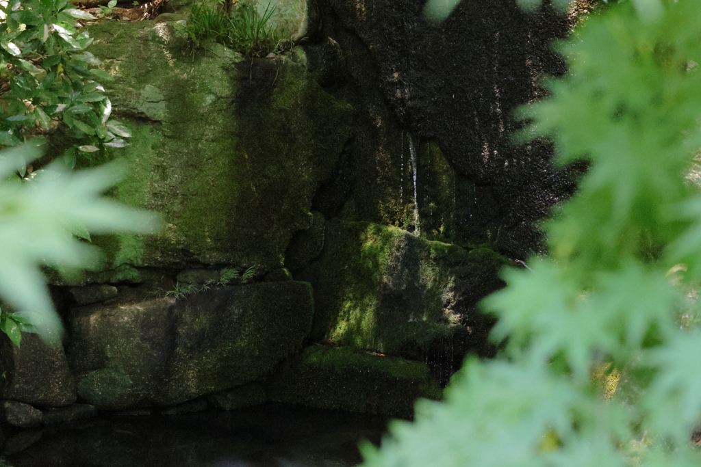 龍神の池