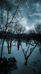 軽井沢 - ホテルの窓から